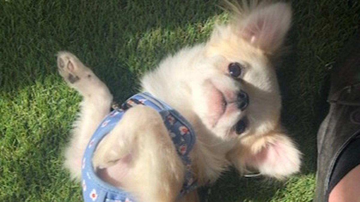 ”術後の経過報告⑧”です。