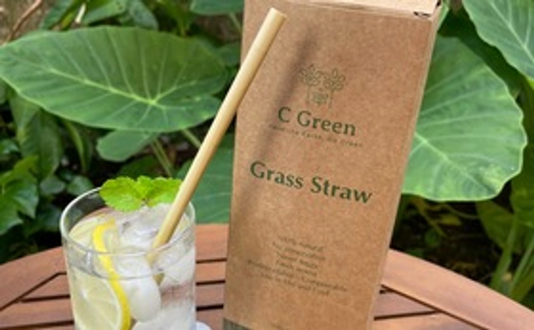 草ストロー100本