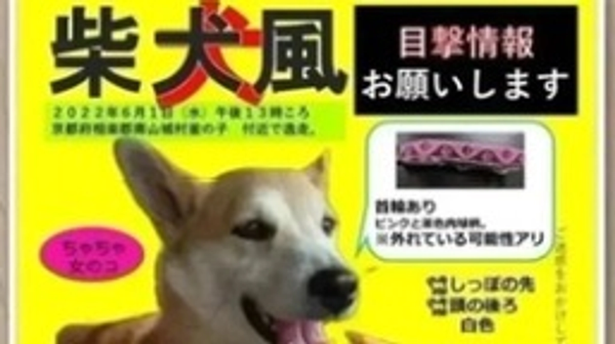 迷子犬ちゃちゃの中村様から応援メッセージをいただいております！
