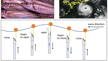 海洋プランクトン増によるCO2回収、水産資源増、台風制御プロジェク のトップ画像