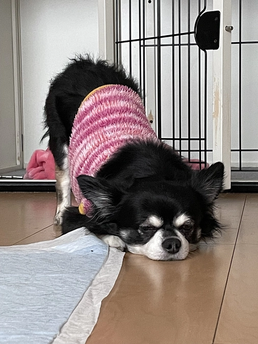 まめの神経痛について