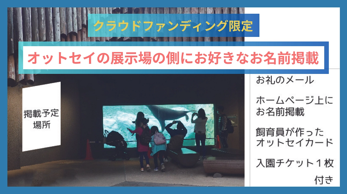 【おすすめの特別リターン】オットセイ展示場の側にお好きなお名前を指定して掲載！