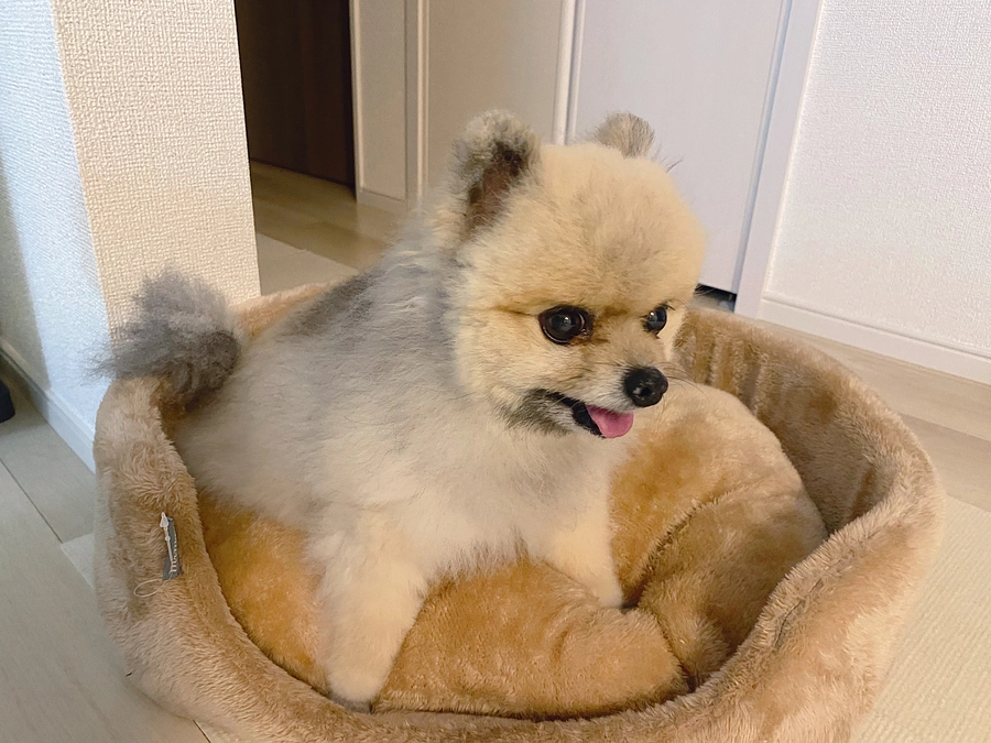 最近言われること