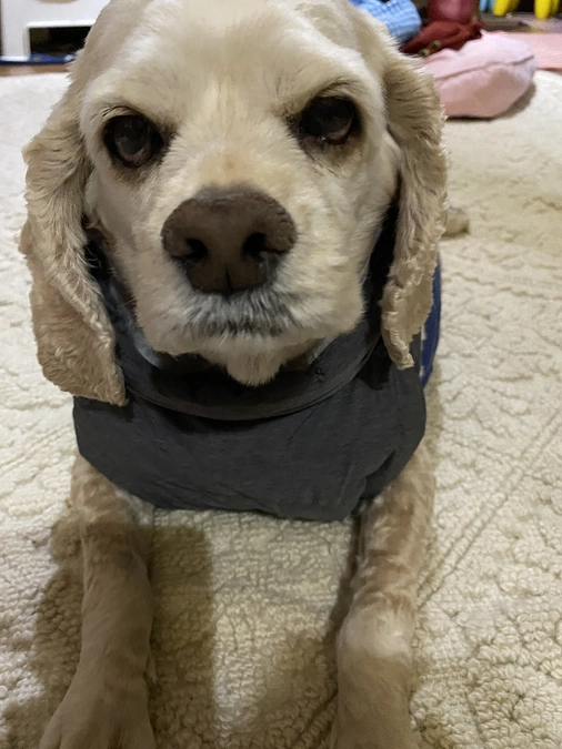 ロレンツアへご支援有り難うございます　毎日毎日頑張って生きてます　