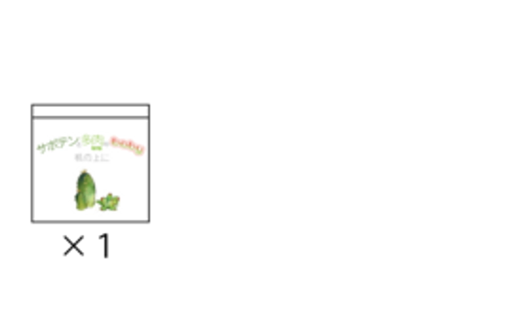 【追加】※単体でのお申し込みは出来ません【サボテンと多肉植物のbaby 机の上に】×１