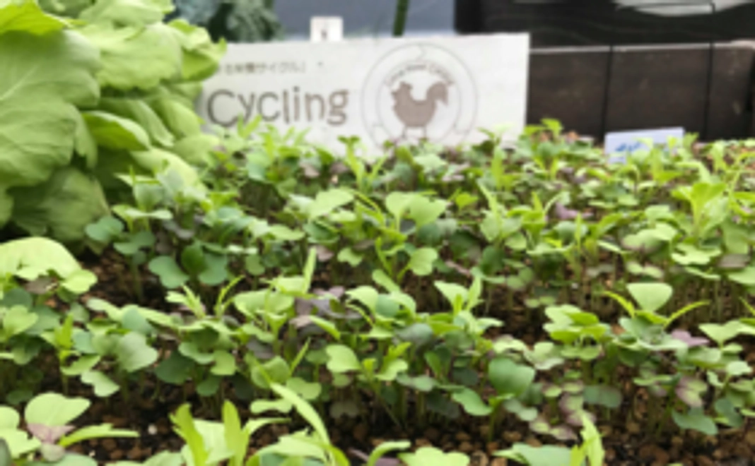 3500円応援コース