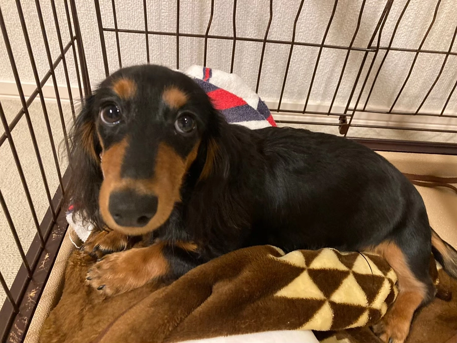 【イブラ写真集:是非本文をご覧ください！】