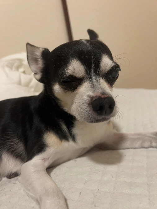 クラウドファンディング残り11日‼︎