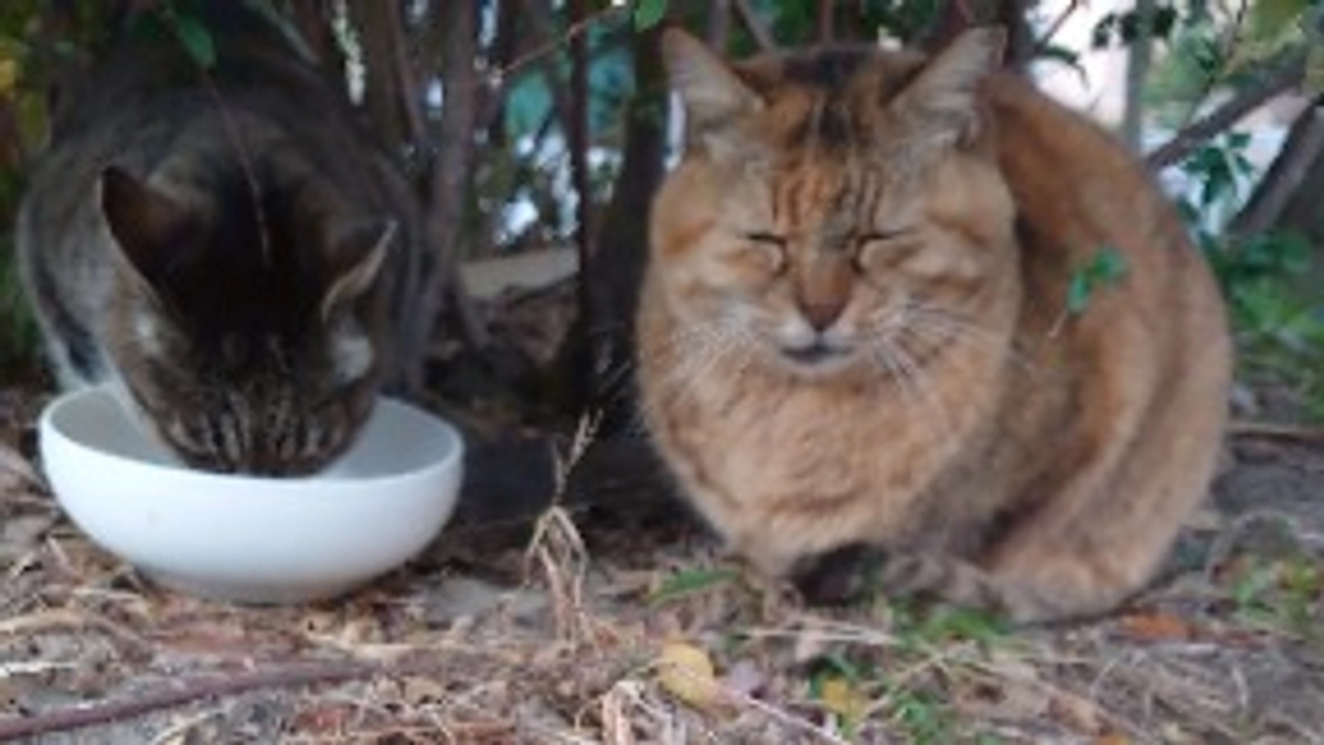 おまわりさんに言われた事。