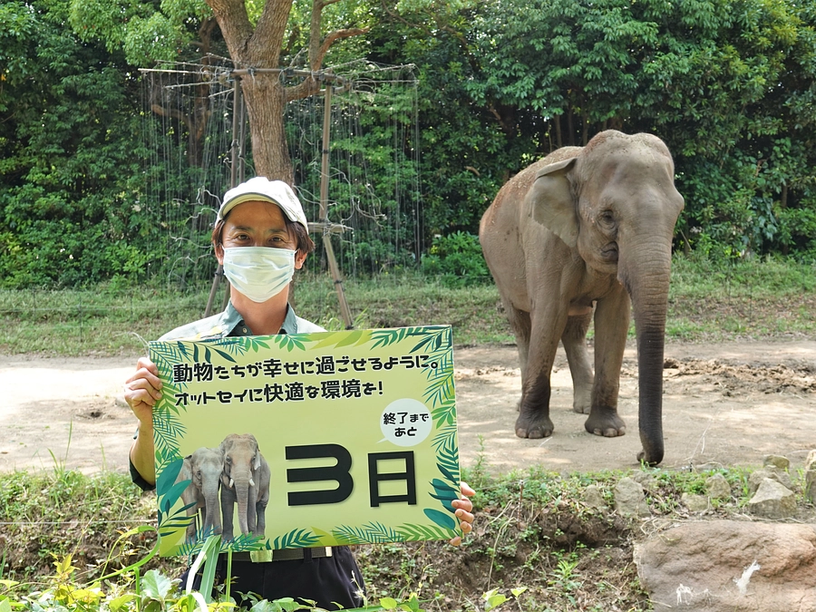 オットセイに快適な環境を！～プロジェクト終了まで【あと3日】～