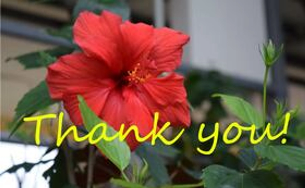 シンプル寄付コース（3,000円）