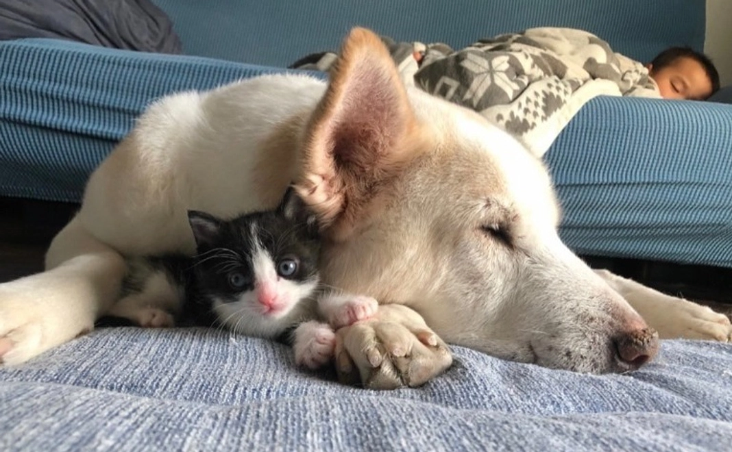 【リターン不要】全力応援｜1万円