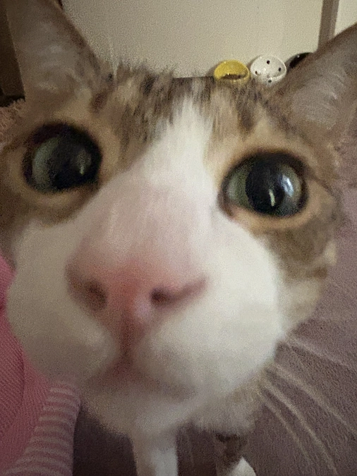 検査結果の電話が来ました