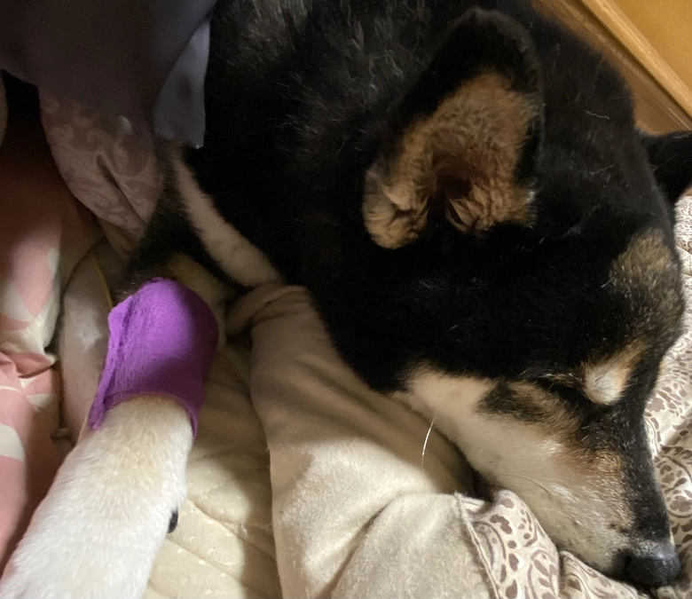 放射線治療開始