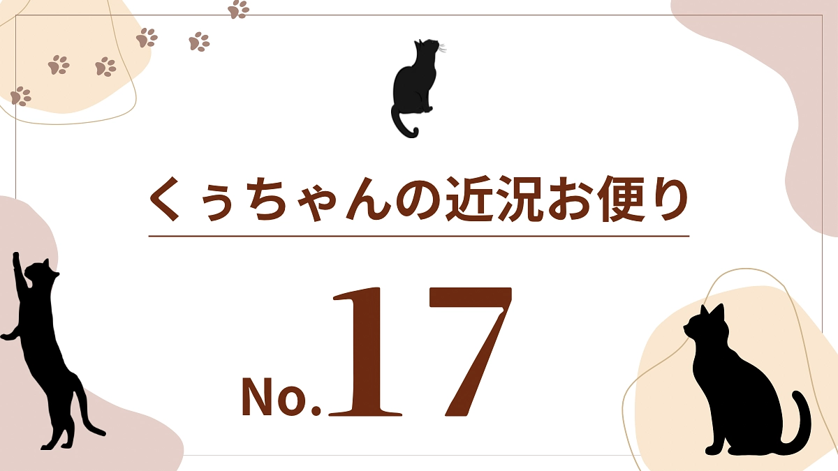 【くぅちゃんの近況おたより（8月24日）】