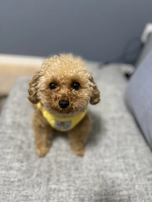 残り６１時間。１９万不足しています。