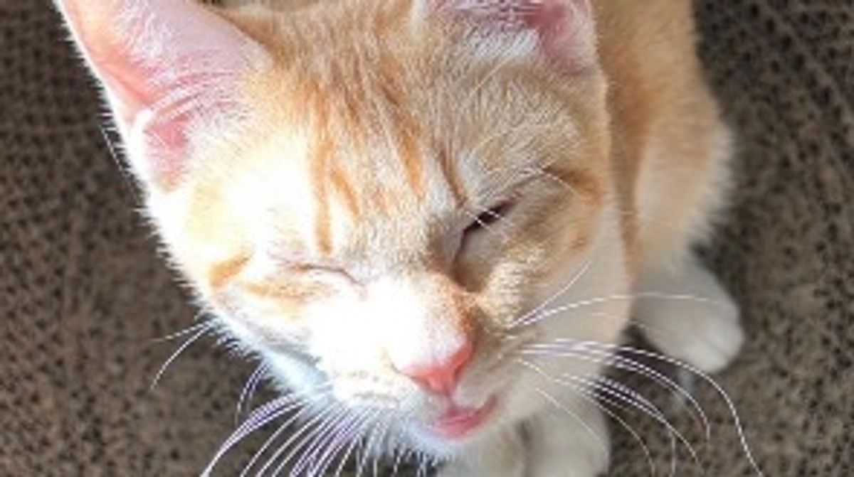 支援金を充てさせていただく期間について