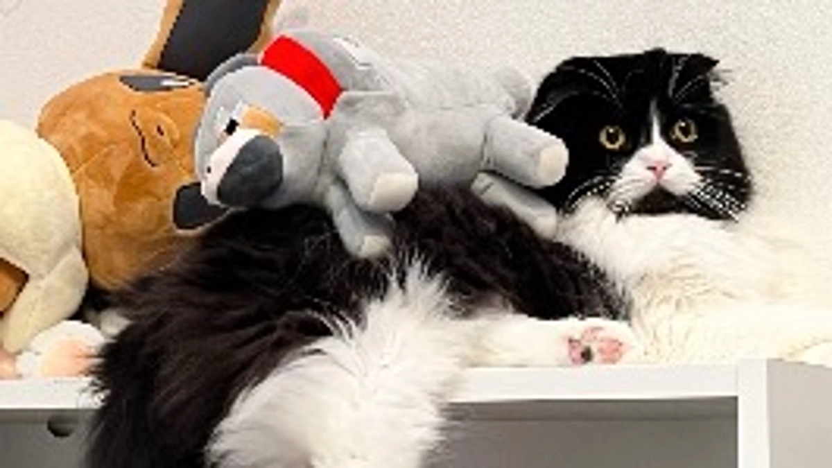 プロジェクト終了まで2時間を切りました。