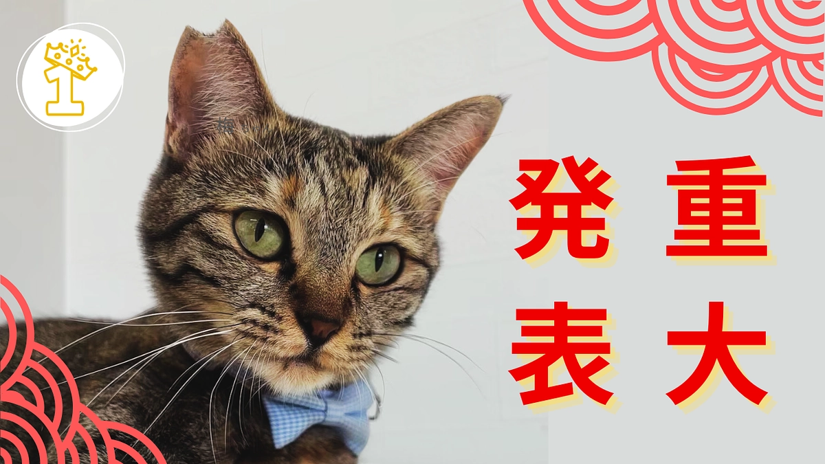 【重大発表】新年のあいさつ