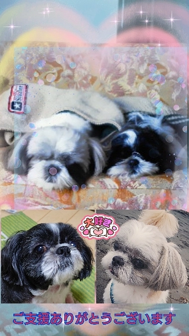 プロジェクト最終日を終えました。