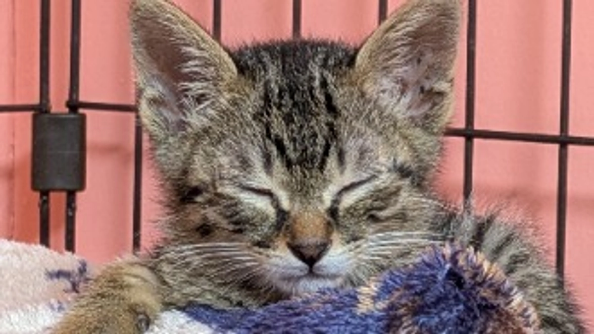 🍒5月活動報告です