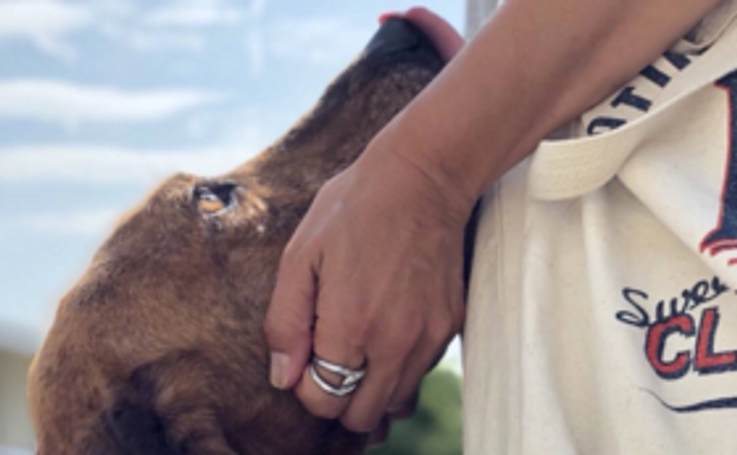 感謝の気持ちを書いたメッセージカード