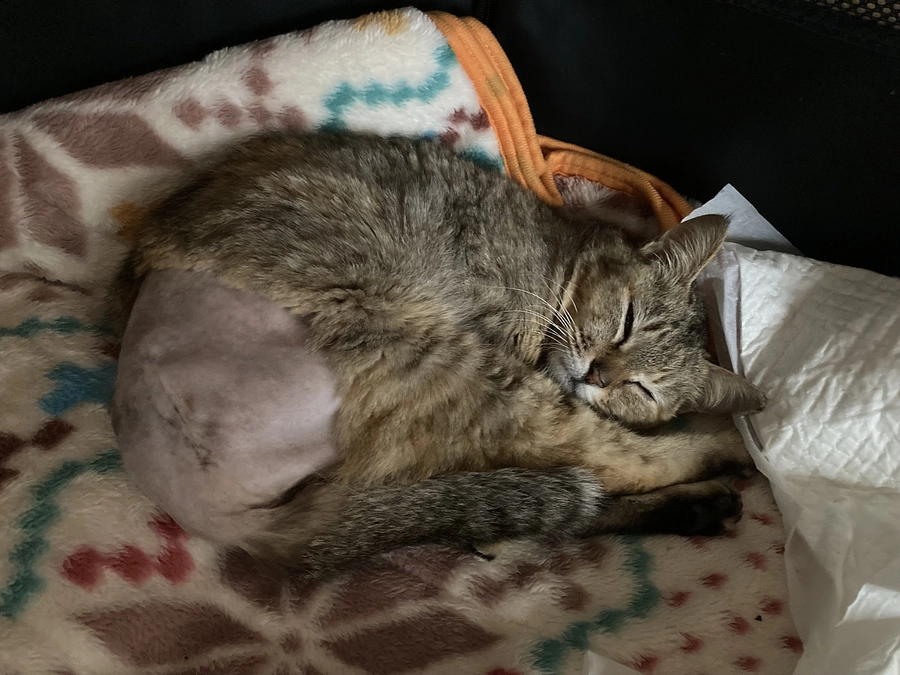 リラックス、、、