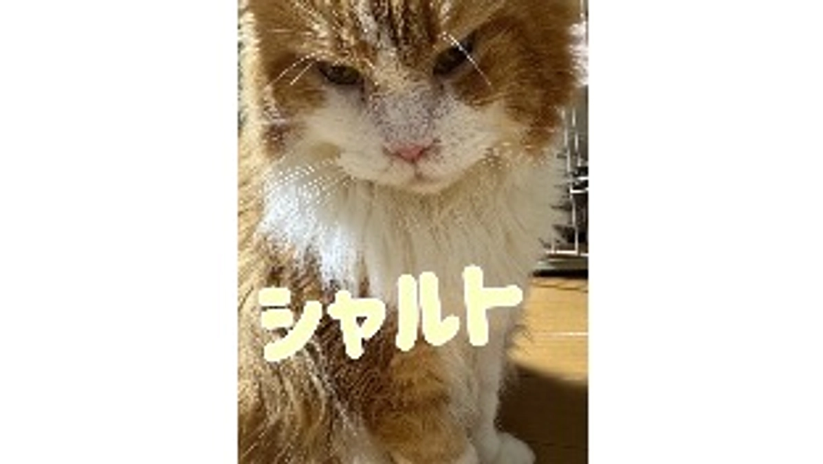 鼻の調子が悪く再度病院受診🏥9/3