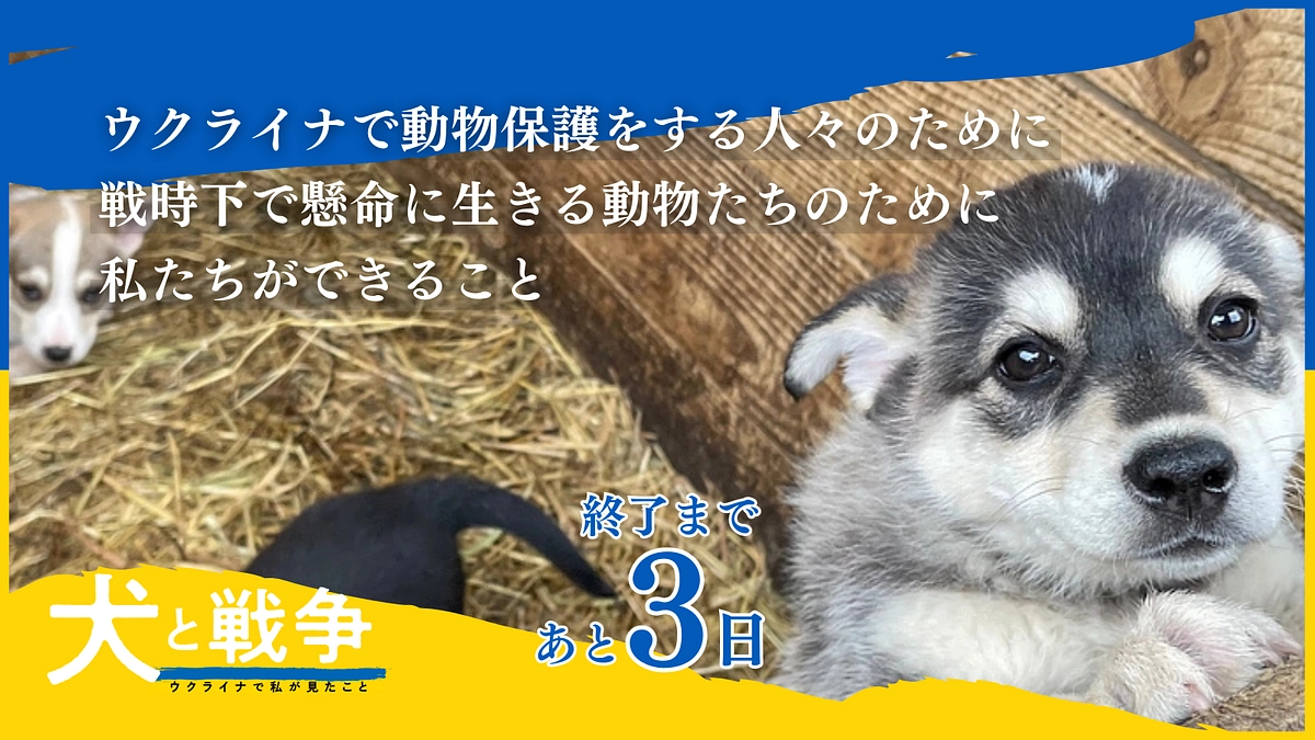 【終了まであと3日】戦争の続くウクライナの動物たちのために。