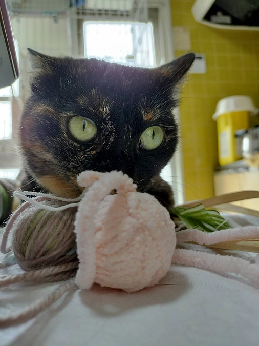 4月7日（日）手芸イベントを開催しました！！