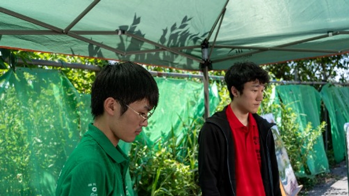 SD成功 / あと3押し??