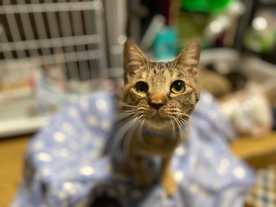 １階のリフォームが始りました！！