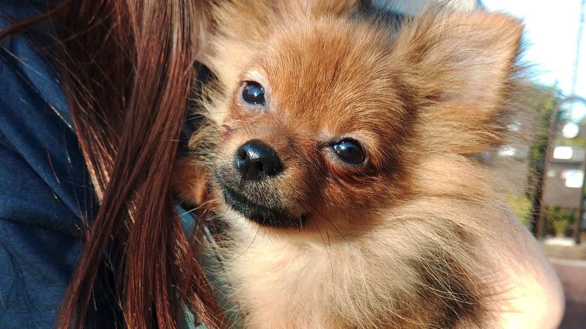 あと、28％で第一目標達成‼️