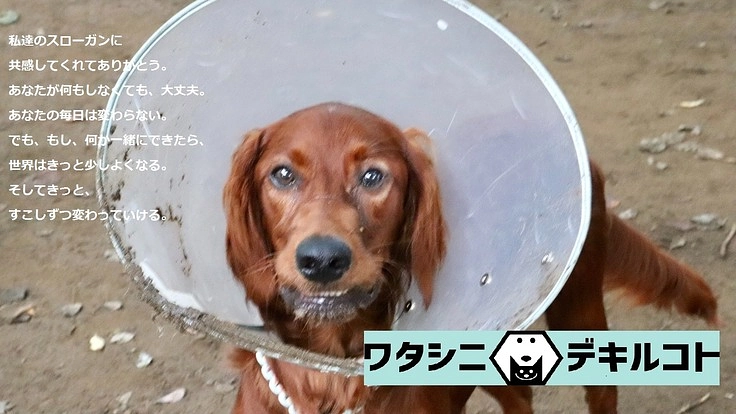 「目の前の動物の命、さらにその先の命の為に」サポーター大募集!