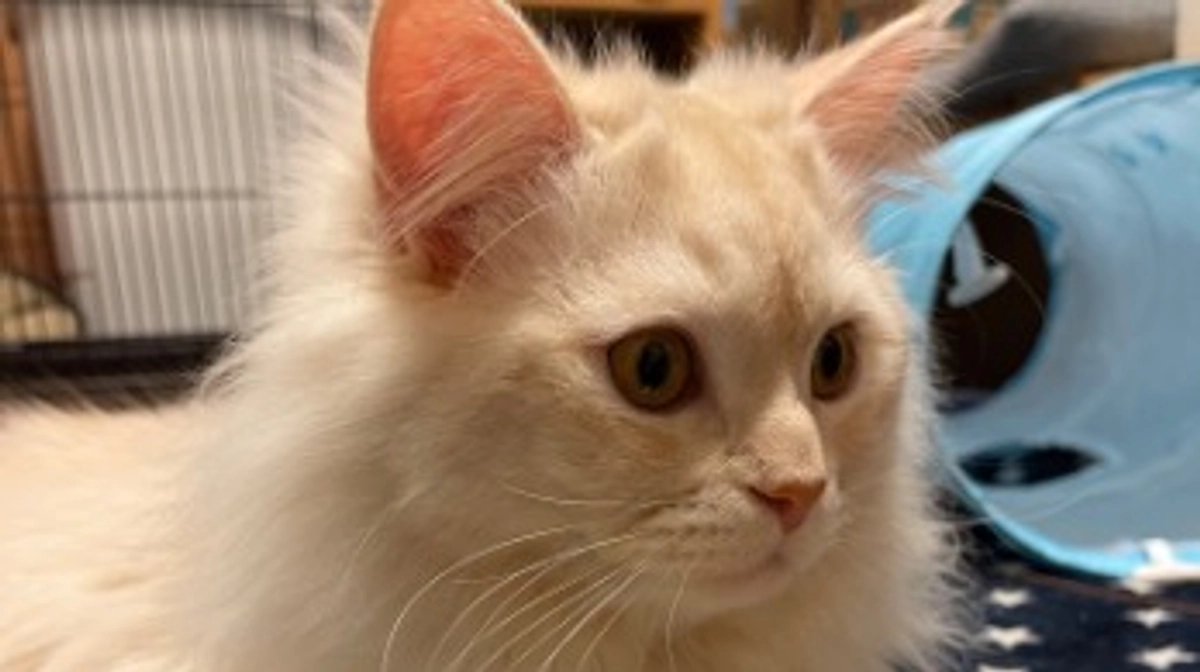 今日のトキ☁️☀️