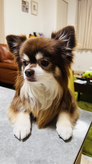 昨日から食欲不振気味。。。