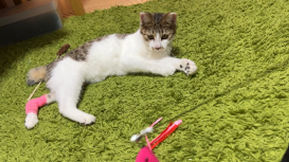 10月28日　通院2回目