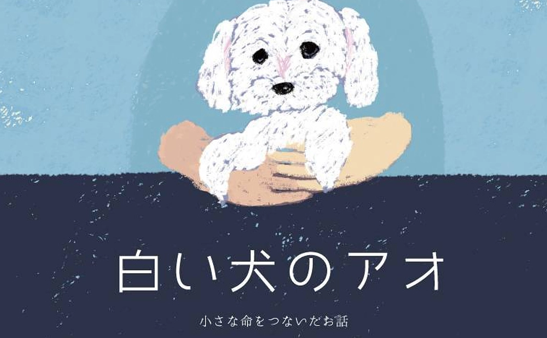 【おすすめ】オリジナル絵本「白い犬のアオ」