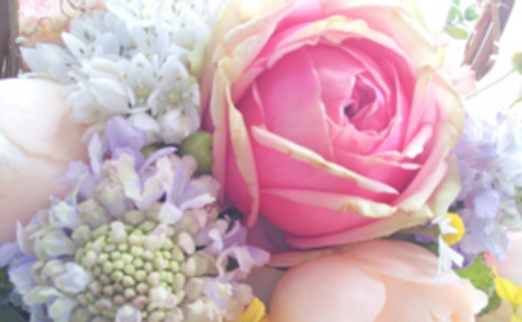 ＜経営者様向け＞季節のお花のアレンジメントを三ヶ月毎月お届け！