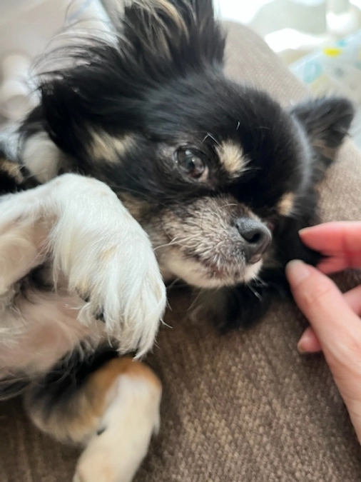 ネクストゴールに挑戦、残り24時間