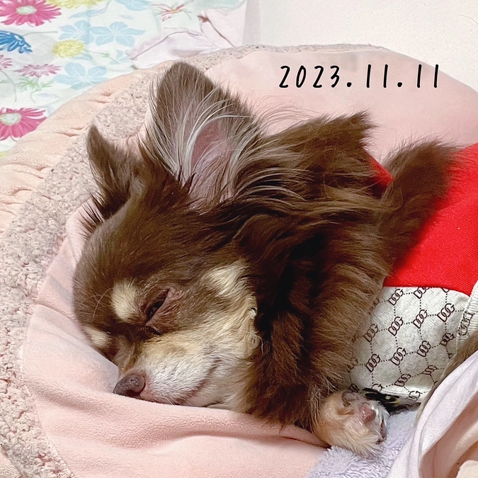 診療費明細書を掲載いたします！