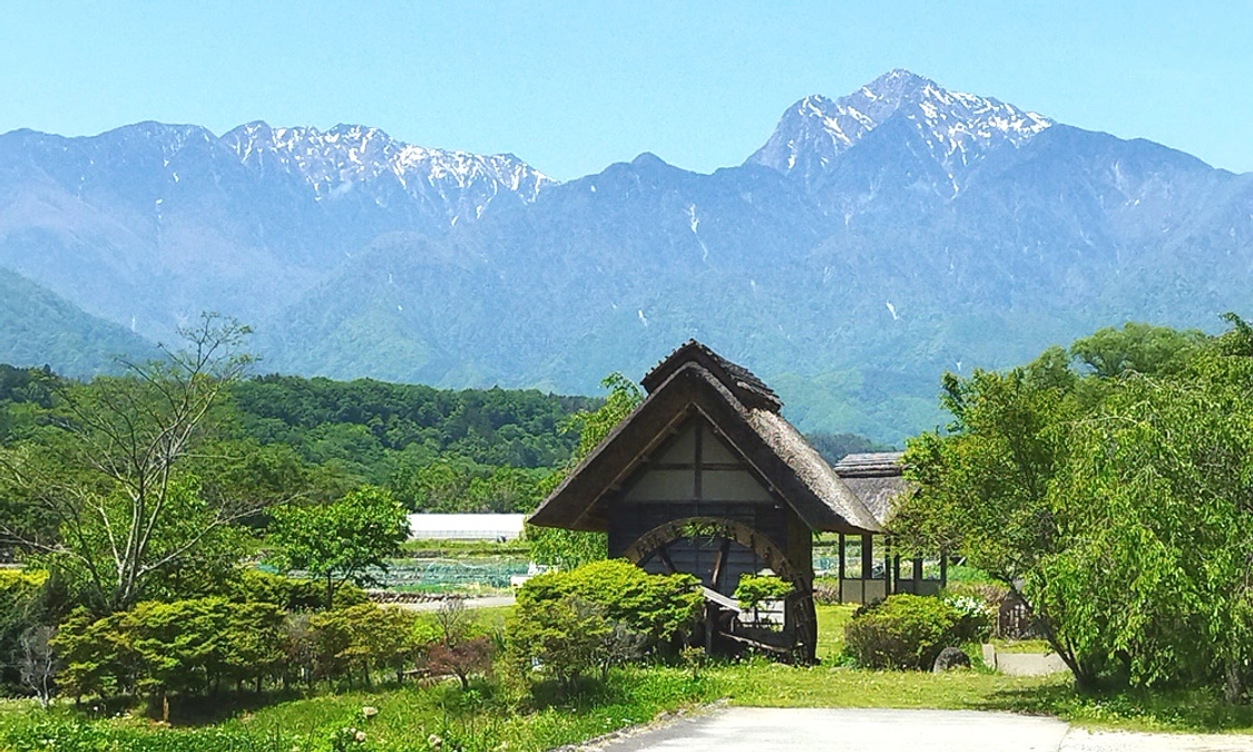 ブルーベリー苗の鉢上げ作業を開始しました！