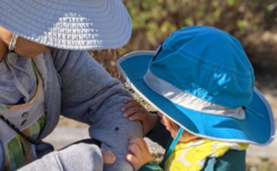 ちょこっと応援コース(3,000円)