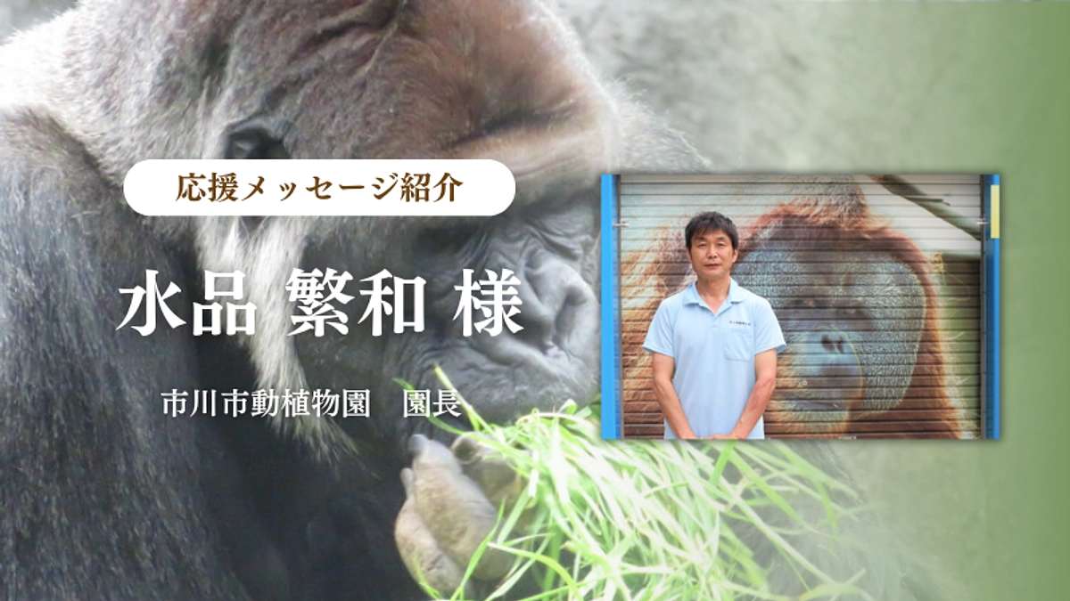 市川市動植物園　園長 水品 繁和様からの応援メッセージのご紹介