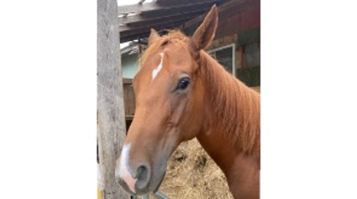 残り10日となりました