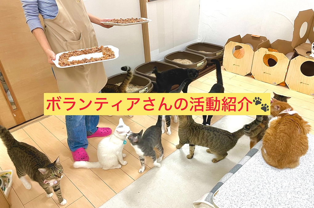 ボランティアさんの活動の様子を一部、紹介させていただきます🐾