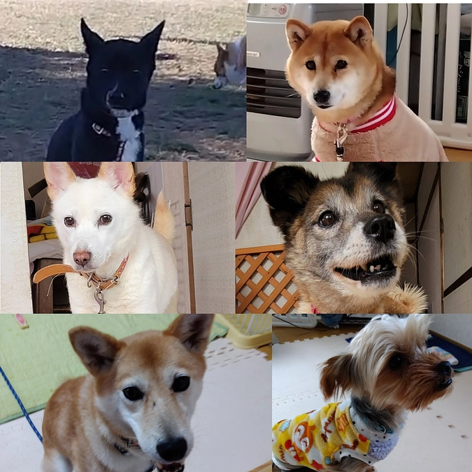 本日より宜しくお願いいたします