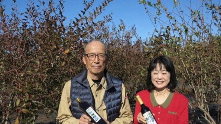 ブルーベリーを育てる1年体験