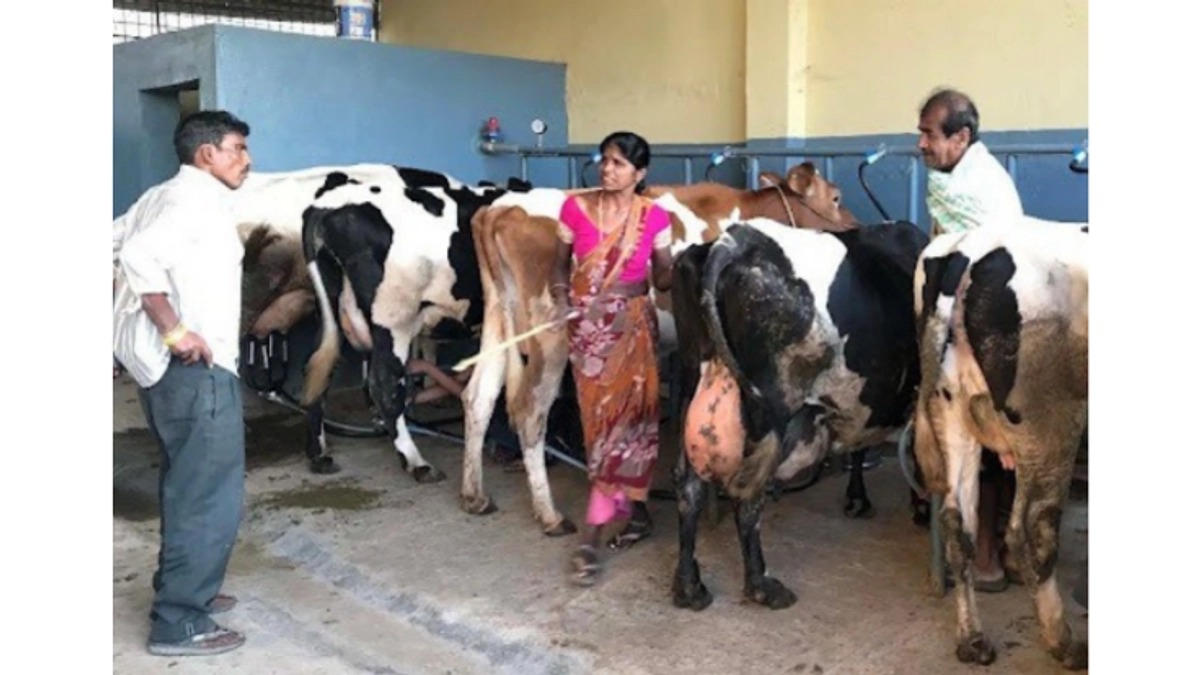 CSIチャレンジ１優勝企業Stellappsのご紹介