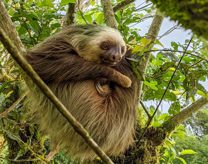ご支援ありがとうございました！